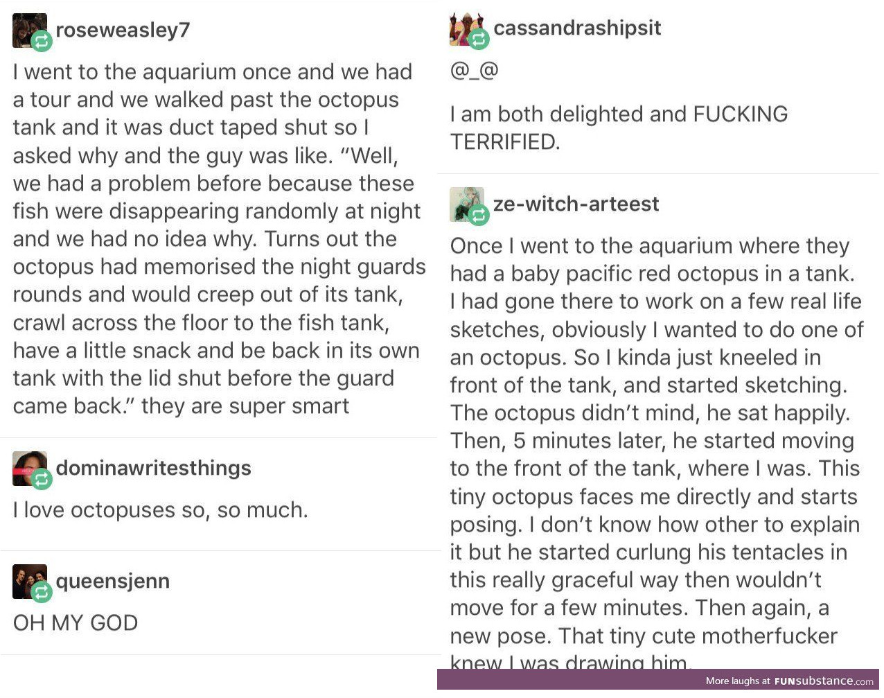 octopus-story-tumblr