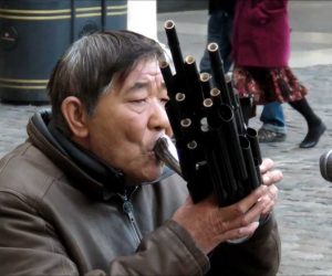 sheng-musical-instrument-cover