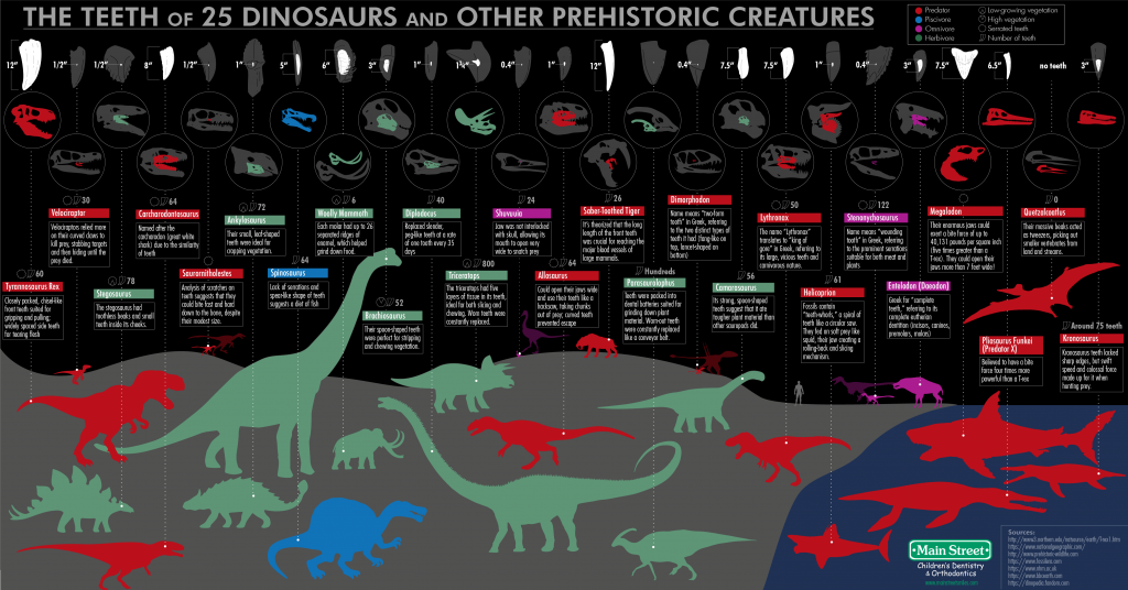 A Rexcellent Infographic on Dinosaur Teeth PixlParade