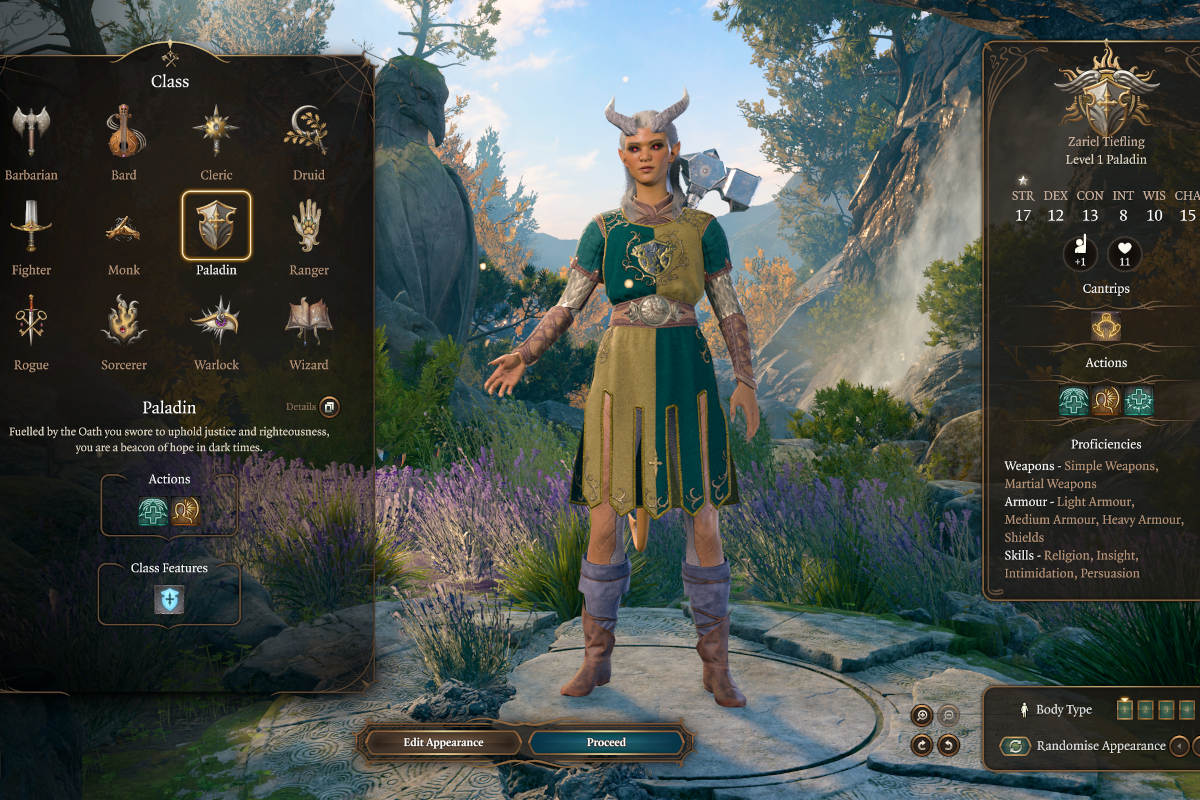 Selecting Paladin from the Class menu