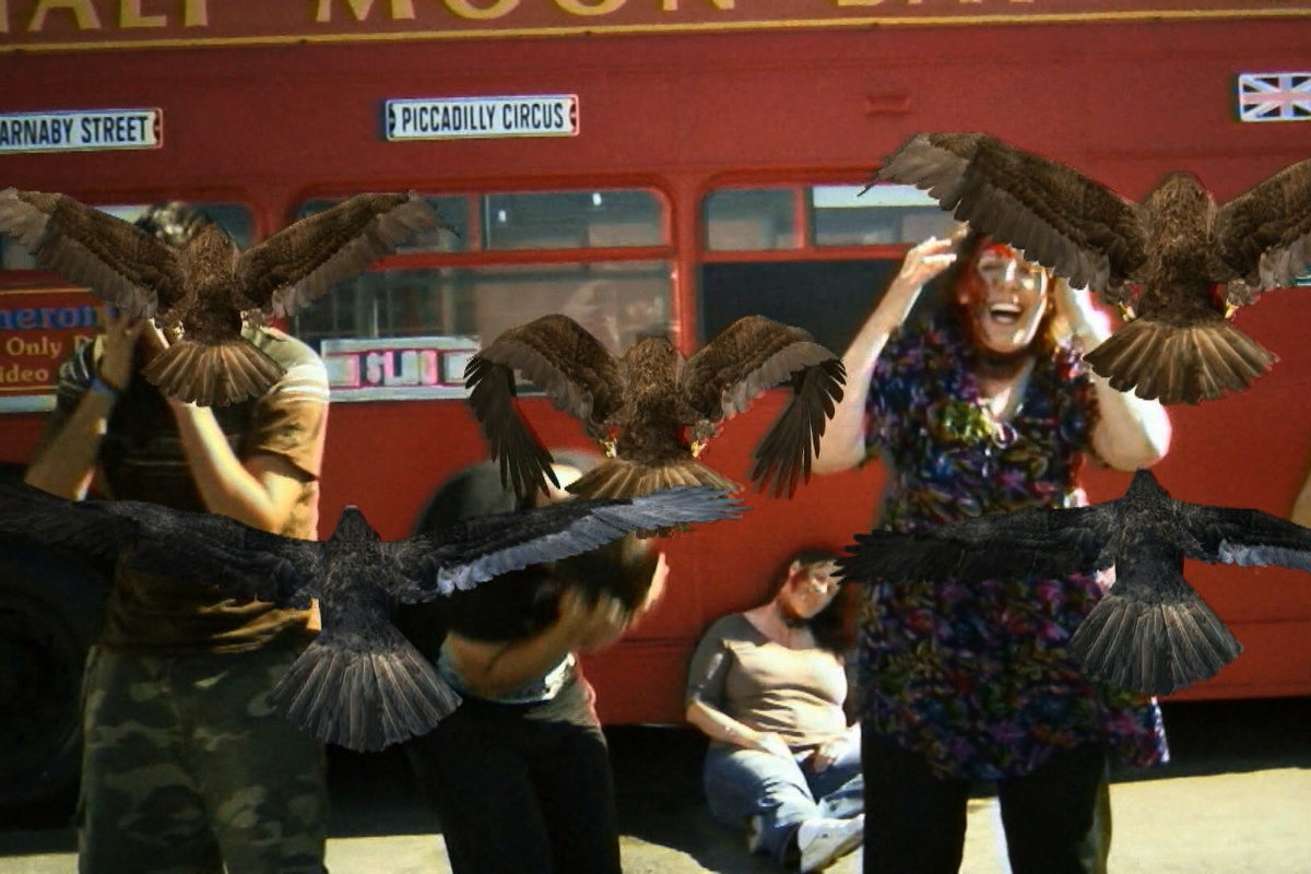 Birdemic: Shock and Terror