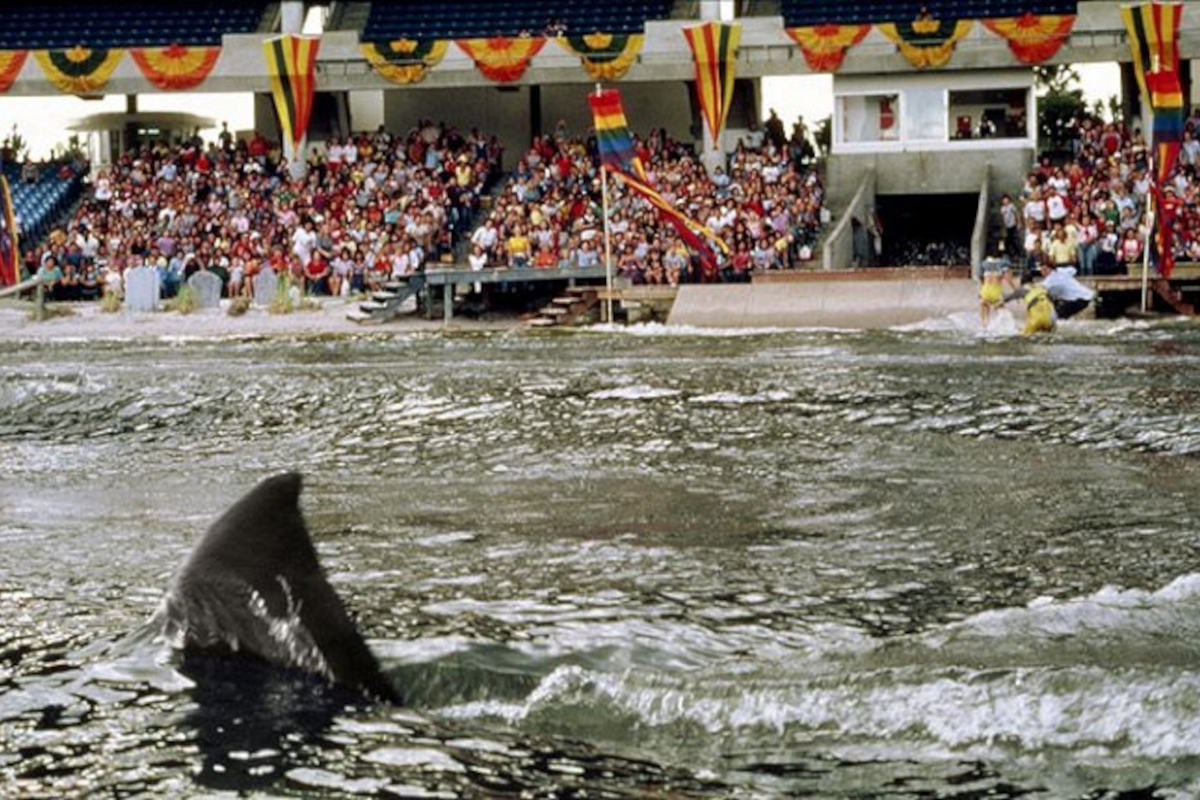 Jaws 3-D