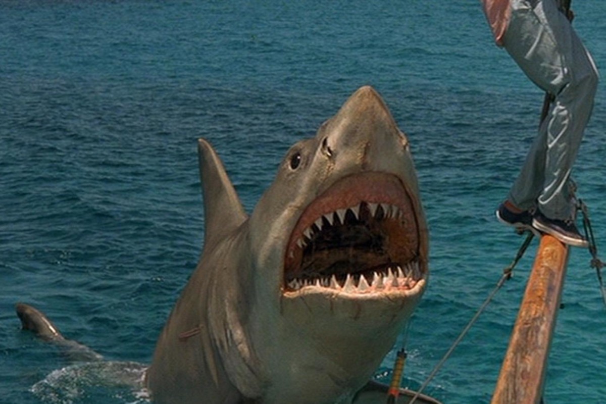 Jaws: The Revenge